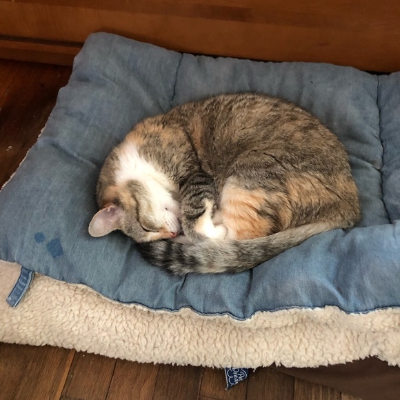 Welcome to my closet! My name is Harriet - Picture 15 of 16